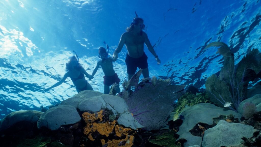 snorkrling piedar ahogada tour isla daphne